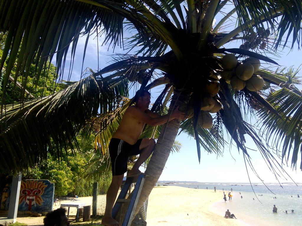 Sayuri Beach Hotel Matara Ngoại thất bức ảnh
